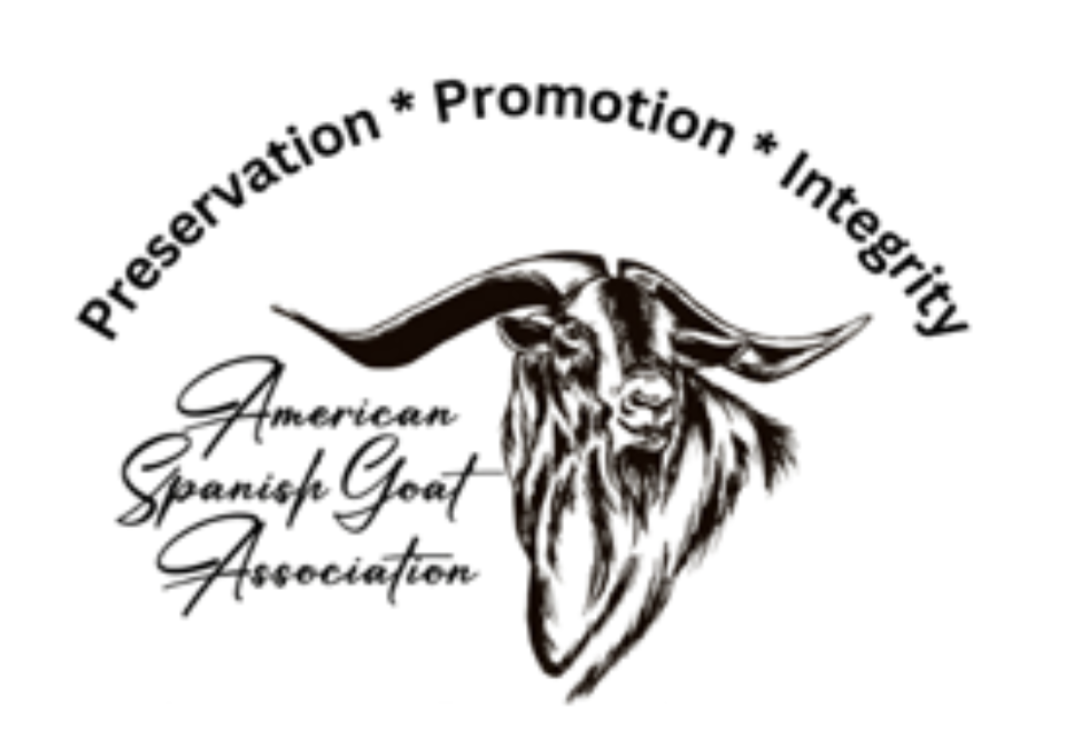 American Spanish Goat Association
